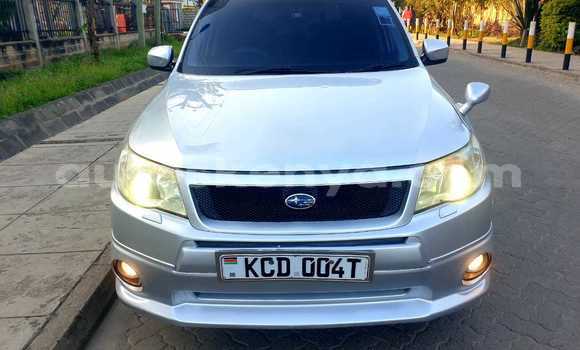 Oofamaa Subaru Forester Silver Makiinaa iti Nairobi keessatti Nairobi keessatti