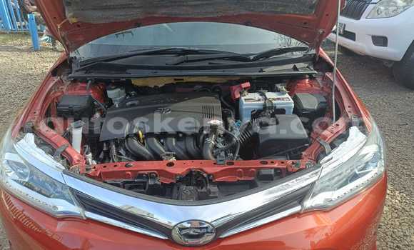 Nunua Ilio tumika Toyota Fielder Nyekundu Gari ndani ya Nairobi nchini Nairobi Nunua Ilio tumika Toyota Fielder Nyekundu Gari ndani ya Nairobi nchini Nairobi