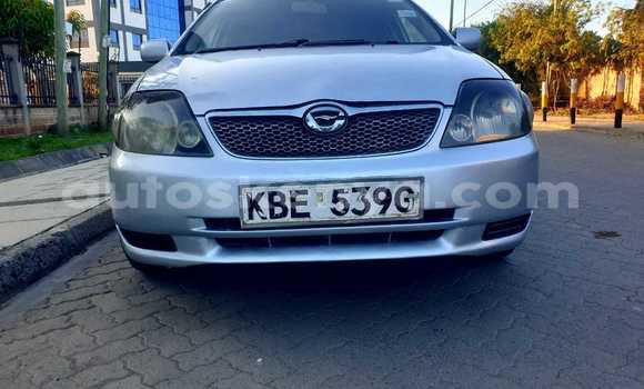 Nunua Ilio tumika Toyota Fielder Fedha Gari ndani ya Nairobi nchini Nairobi Nunua Ilio tumika Toyota Fielder Fedha Gari ndani ya Nairobi nchini Nairobi