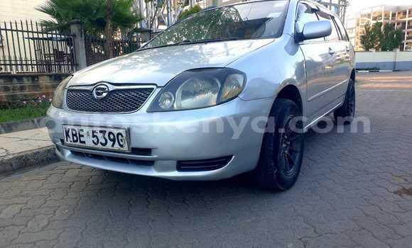 Nunua Ilio tumika Toyota Fielder Fedha Gari ndani ya Nairobi nchini Nairobi Nunua Ilio tumika Toyota Fielder Fedha Gari ndani ya Nairobi nchini Nairobi