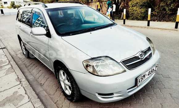 Nunua Ilio tumika Toyota Fielder Fedha Gari ndani ya Nairobi nchini Nairobi Nunua Ilio tumika Toyota Fielder Fedha Gari ndani ya Nairobi nchini Nairobi
