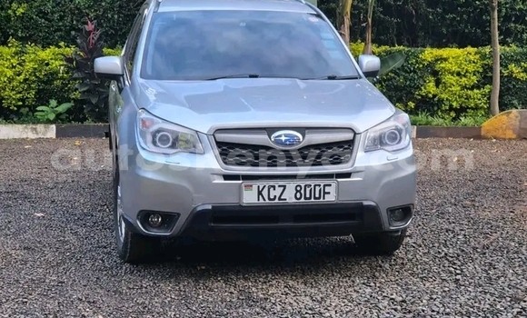 Oofamaa Subaru Forester Silver Makiinaa iti Nairobi keessatti Nairobi keessatti