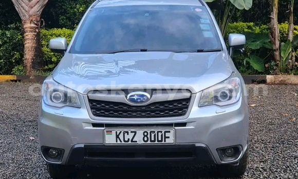 Nunua Ilio tumika Subaru Forester Fedha Gari ndani ya Nairobi nchini Nairobi Nunua Ilio tumika Subaru Forester Fedha Gari ndani ya Nairobi nchini Nairobi