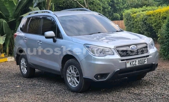 Nunua Ilio tumika Subaru Forester Fedha Gari ndani ya Nairobi nchini Nairobi Nunua Ilio tumika Subaru Forester Fedha Gari ndani ya Nairobi nchini Nairobi