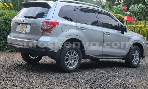 Nunua Ilio tumika Subaru Forester Fedha Gari ndani ya Nairobi nchini Nairobi Nunua Ilio tumika Subaru Forester Fedha Gari ndani ya Nairobi nchini Nairobi