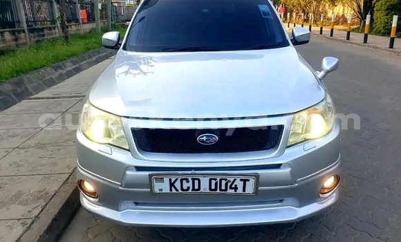 Buy Used Subaru Forester Silver Car in Nairobi in Nairobi