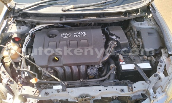 Nunua Ilio tumika Toyota Probox Fedha Gari ndani ya Nairobi nchini Nairobi Nunua Ilio tumika Toyota Probox Fedha Gari ndani ya Nairobi nchini Nairobi