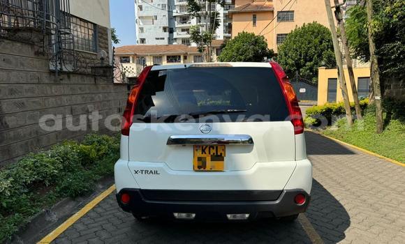 Buy Used Nissan X–Trail White Car in Nairobi in Nairobi Buy Used Nissan X–Trail White Car in Nairobi in Nairobi