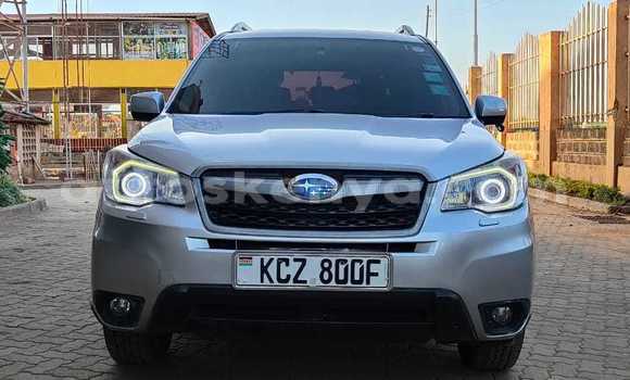 Buy Used Subaru Forester Silver Car in Nairobi in Nairobi