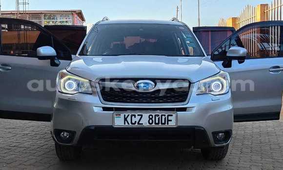 Nunua Ilio tumika Subaru Forester Fedha Gari ndani ya Nairobi nchini Nairobi Nunua Ilio tumika Subaru Forester Fedha Gari ndani ya Nairobi nchini Nairobi