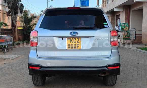 Nunua Ilio tumika Subaru Forester Fedha Gari ndani ya Nairobi nchini Nairobi Nunua Ilio tumika Subaru Forester Fedha Gari ndani ya Nairobi nchini Nairobi