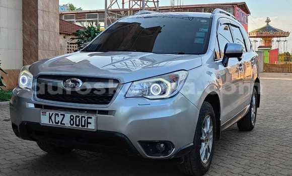 Nunua Ilio tumika Subaru Forester Fedha Gari ndani ya Nairobi nchini Nairobi Nunua Ilio tumika Subaru Forester Fedha Gari ndani ya Nairobi nchini Nairobi