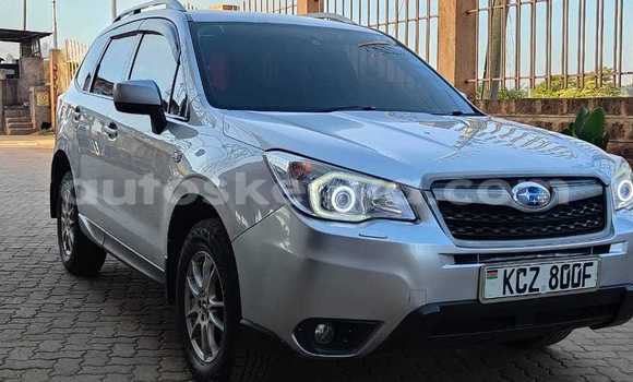 Nunua Ilio tumika Subaru Forester Fedha Gari ndani ya Nairobi nchini Nairobi Nunua Ilio tumika Subaru Forester Fedha Gari ndani ya Nairobi nchini Nairobi