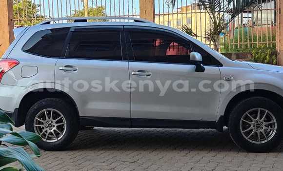 Nunua Ilio tumika Subaru Forester Fedha Gari ndani ya Nairobi nchini Nairobi Nunua Ilio tumika Subaru Forester Fedha Gari ndani ya Nairobi nchini Nairobi