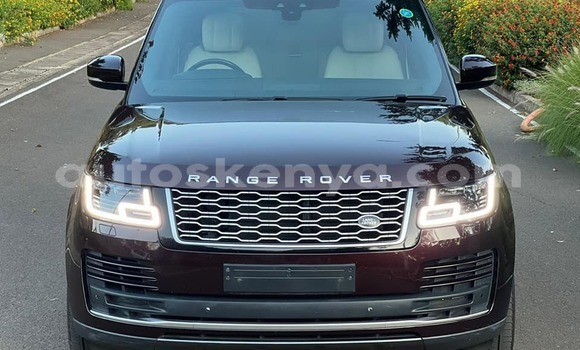 Oofamaa Land Rover Range Rover Vogue Black Makiinaa iti Nairobi keessatti Nairobi keessatti Oofamaa Land Rover Range Rover Vogue Black Makiinaa iti Nairobi keessatti Nairobi keessatti