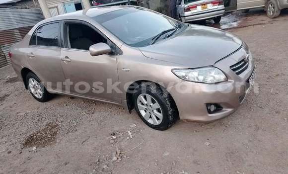 Nunua Ilio tumika Toyota Corolla Nyingine Gari ndani ya Nairobi nchini Nairobi Nunua Ilio tumika Toyota Corolla Nyingine Gari ndani ya Nairobi nchini Nairobi