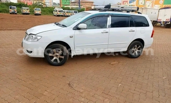 Nunua Ilio tumika Toyota Fielder Nyeupe Gari ndani ya Griftu nchini Kaskazini Mashariki mwa Kenya Nunua Ilio tumika Toyota Fielder Nyeupe Gari ndani ya Griftu nchini Kaskazini Mashariki mwa Kenya