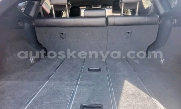 Nunua Ilio tumika Toyota Harrier Nyeusi Gari ndani ya Griftu nchini Kaskazini Mashariki mwa Kenya Nunua Ilio tumika Toyota Harrier Nyeusi Gari ndani ya Griftu nchini Kaskazini Mashariki mwa Kenya