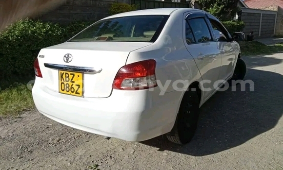 Nunua Ilio tumika Toyota Belta Nyeupe Gari ndani ya Griftu nchini Kaskazini Mashariki mwa Kenya Nunua Ilio tumika Toyota Belta Nyeupe Gari ndani ya Griftu nchini Kaskazini Mashariki mwa Kenya