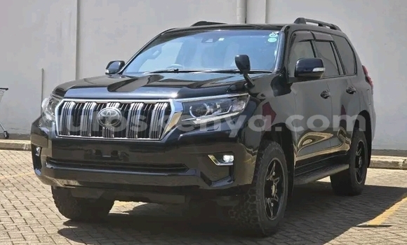 Nunua Ilio tumika Toyota Prado Nyeusi Gari ndani ya Bute nchini Kaskazini Mashariki mwa Kenya Nunua Ilio tumika Toyota Prado Nyeusi Gari ndani ya Bute nchini Kaskazini Mashariki mwa Kenya