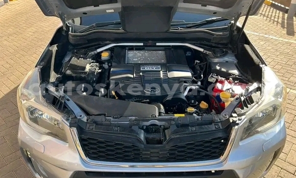 Nunua Ilio tumika Subaru Forester Nyeupe Gari ndani ya Gatanga nchini Nairobi Nunua Ilio tumika Subaru Forester Nyeupe Gari ndani ya Gatanga nchini Nairobi