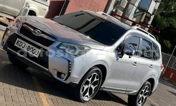 Nunua Ilio tumika Subaru Forester Nyeupe Gari ndani ya Gatanga nchini Nairobi Nunua Ilio tumika Subaru Forester Nyeupe Gari ndani ya Gatanga nchini Nairobi