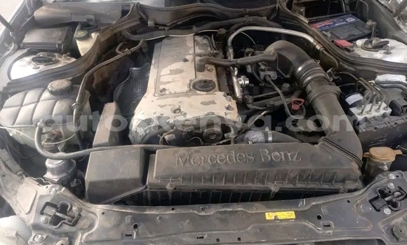 Nunua Ilio tumika Mercedes‒Benz 300CD Nyeupe Gari ndani ya Bute nchini Kaskazini Mashariki mwa Kenya Nunua Ilio tumika Mercedes‒Benz 300CD Nyeupe Gari ndani ya Bute nchini Kaskazini Mashariki mwa Kenya