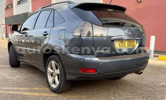 Nunua Ilio tumika Lexus RX 300 Nyingine Gari ndani ya Bute nchini Kaskazini Mashariki mwa Kenya