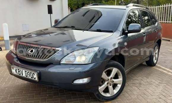 Buy Used Lexus RX 300 Other Car in Bute in Northeast Kenya Buy Used Lexus RX 300 Other Car in Bute in Northeast Kenya