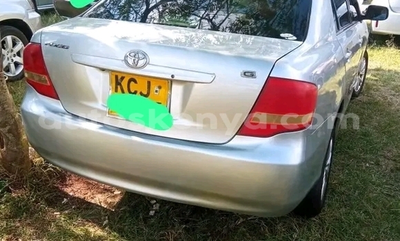 Nunua Ilio tumika Toyota Axio Nyingine Gari ndani ya Bute nchini Kaskazini Mashariki mwa Kenya