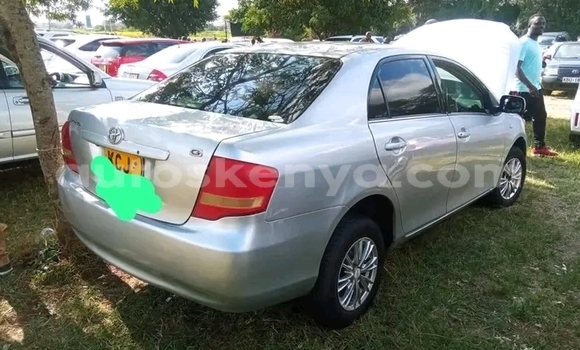 Buy Used Toyota Axio Other Car in Bute in Northeast Kenya Buy Used Toyota Axio Other Car in Bute in Northeast Kenya