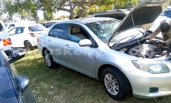 Buy Used Toyota Axio Other Car in Bute in Northeast Kenya Buy Used Toyota Axio Other Car in Bute in Northeast Kenya