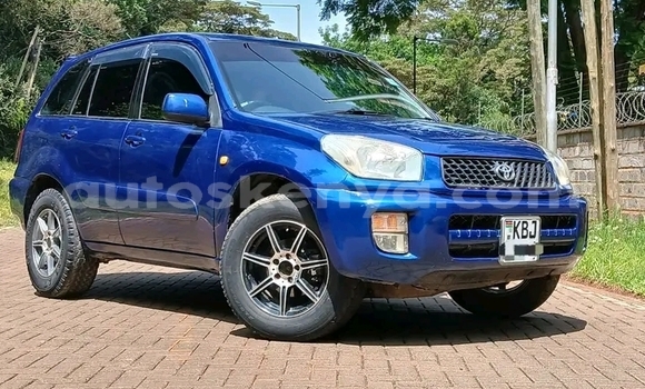 Buy Used Toyota RAV4 Blue Car in Bute in Northeast Kenya