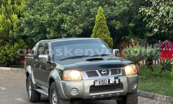 Buy Used Nissan Hardbody Black Car in Bute in Northeast Kenya Buy Used Nissan Hardbody Black Car in Bute in Northeast Kenya