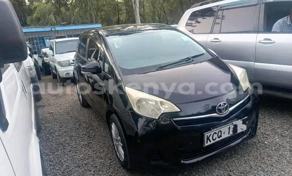 Buy Used Toyota Ractis Black Car in Bute in Northeast Kenya Buy Used Toyota Ractis Black Car in Bute in Northeast Kenya