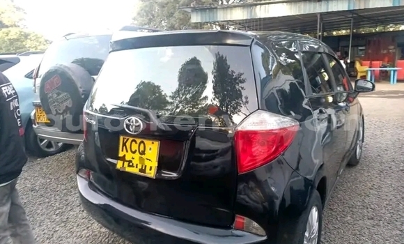 Buy Used Toyota Ractis Black Car in Bute in Northeast Kenya Buy Used Toyota Ractis Black Car in Bute in Northeast Kenya