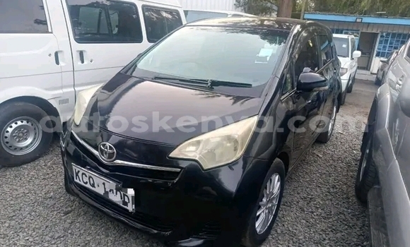 Buy Used Toyota Ractis Black Car in Bute in Northeast Kenya Buy Used Toyota Ractis Black Car in Bute in Northeast Kenya