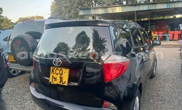 Buy Used Toyota Ractis Black Car in Bute in Northeast Kenya Buy Used Toyota Ractis Black Car in Bute in Northeast Kenya