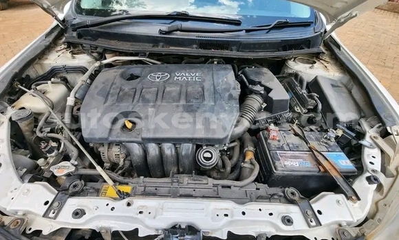 Buy Used Toyota Allion White Car in Griftu in Northeast Kenya Buy Used Toyota Allion White Car in Griftu in Northeast Kenya