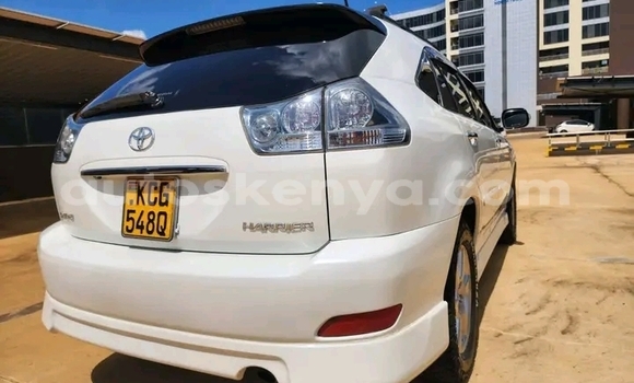 Oofamaa Toyota Harrier White Makiinaa iti Bute keessatti Northeast Kenya keessatti Oofamaa Toyota Harrier White Makiinaa iti Bute keessatti Northeast Kenya keessatti