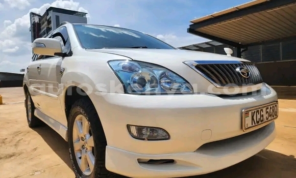 Buy Used Toyota Harrier White Car in Bute in Northeast Kenya Buy Used Toyota Harrier White Car in Bute in Northeast Kenya