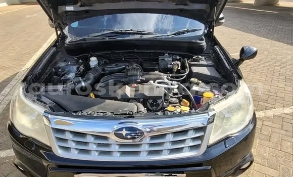 Oofamaa Subaru Forester Black Makiinaa iti Habaswein keessatti Northeast Kenya keessatti Oofamaa Subaru Forester Black Makiinaa iti Habaswein keessatti Northeast Kenya keessatti
