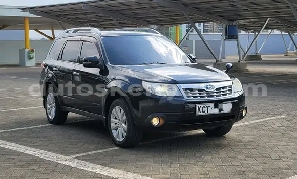 Buy Used Subaru Forester Black Car in Habaswein in Northeast Kenya Buy Used Subaru Forester Black Car in Habaswein in Northeast Kenya