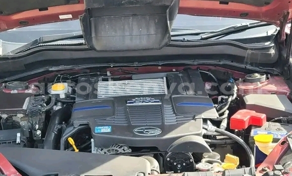 Buy Used Subaru Forester Other Car in Busia in West Kenya Buy Used Subaru Forester Other Car in Busia in West Kenya