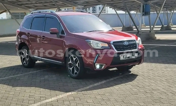 Buy Used Subaru Forester Other Car in Busia in West Kenya Buy Used Subaru Forester Other Car in Busia in West Kenya