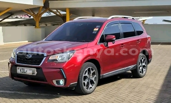 Buy Used Subaru Forester Other Car in Busia in West Kenya Buy Used Subaru Forester Other Car in Busia in West Kenya