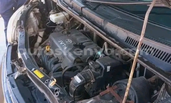 Buy Used Toyota Porte Black Car in Bute in Northeast Kenya Buy Used Toyota Porte Black Car in Bute in Northeast Kenya