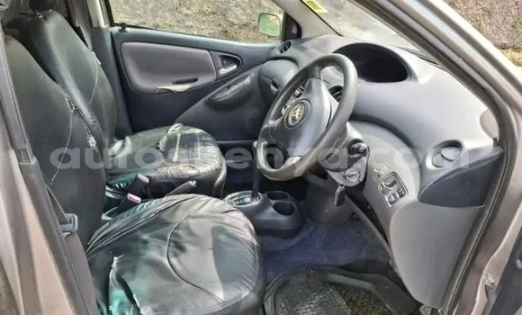 Buy Used Toyota Vitz Other Car in Bute in Northeast Kenya