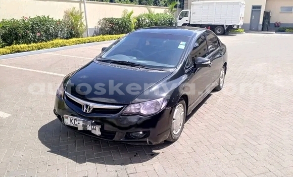 Buy Used Honda Civic Black Car in Bute in Northeast Kenya Buy Used Honda Civic Black Car in Bute in Northeast Kenya