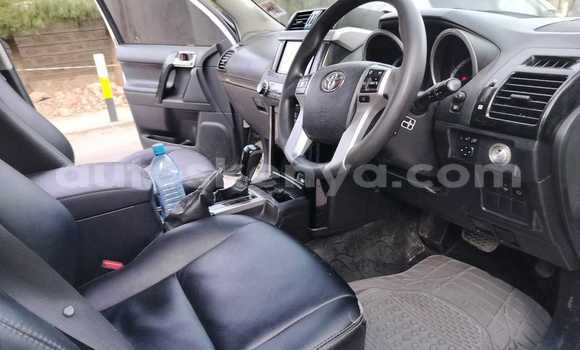 Nunua Ilio tumika Toyota Prado Nyeupe Gari ndani ya Nairobi nchini Nairobi Nunua Ilio tumika Toyota Prado Nyeupe Gari ndani ya Nairobi nchini Nairobi